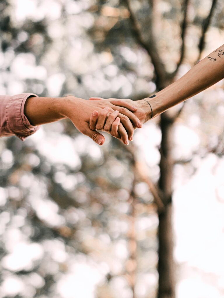 Two hands holding in front of tree in background.